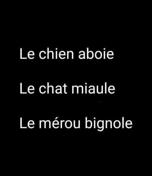 Saison 16 – Le club qui vous cultive : 1ere manche. 12 janvier 2026